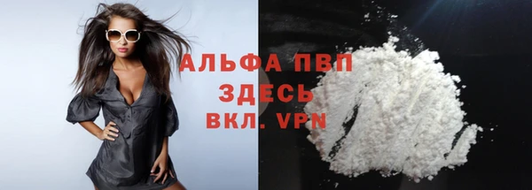 МДПВ Снежногорск